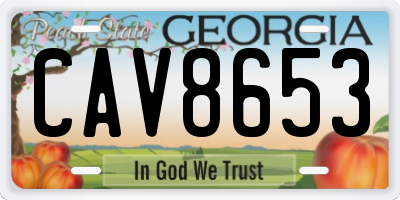 GA license plate CAV8653