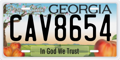 GA license plate CAV8654