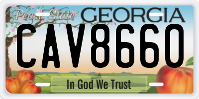 GA license plate CAV8660