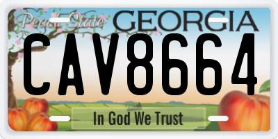 GA license plate CAV8664