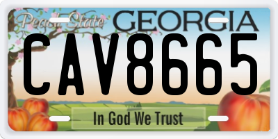 GA license plate CAV8665