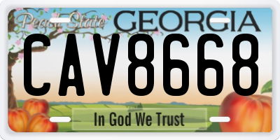 GA license plate CAV8668