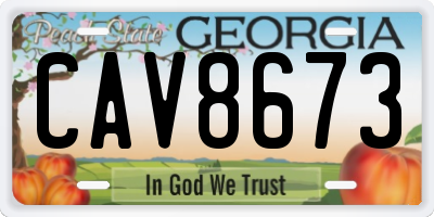 GA license plate CAV8673