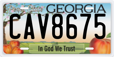 GA license plate CAV8675