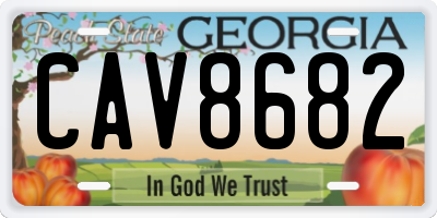 GA license plate CAV8682