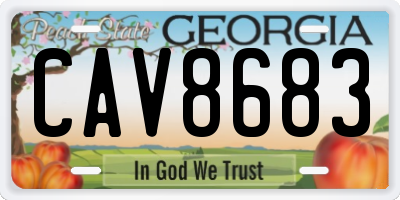 GA license plate CAV8683