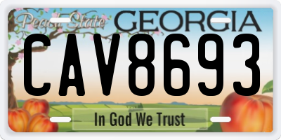 GA license plate CAV8693