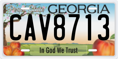 GA license plate CAV8713