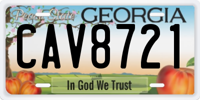 GA license plate CAV8721