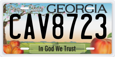 GA license plate CAV8723