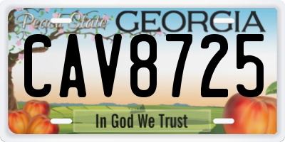 GA license plate CAV8725