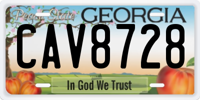 GA license plate CAV8728