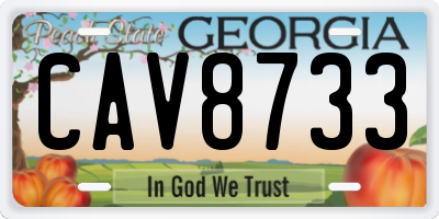 GA license plate CAV8733