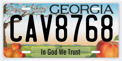 GA license plate CAV8768
