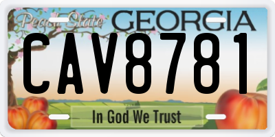 GA license plate CAV8781