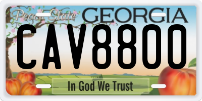 GA license plate CAV8800