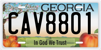 GA license plate CAV8801