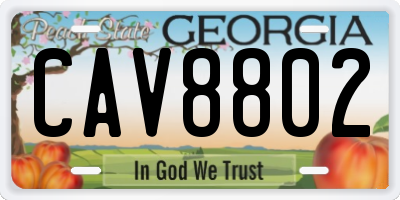 GA license plate CAV8802