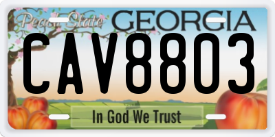 GA license plate CAV8803