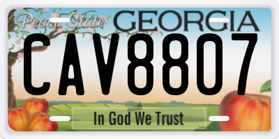 GA license plate CAV8807