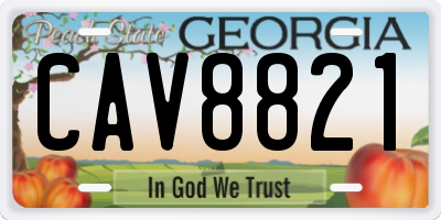 GA license plate CAV8821