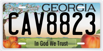 GA license plate CAV8823