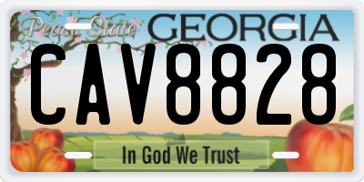 GA license plate CAV8828