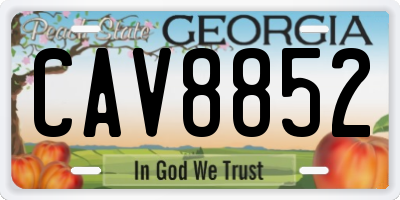 GA license plate CAV8852