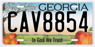 GA license plate CAV8854