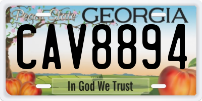 GA license plate CAV8894