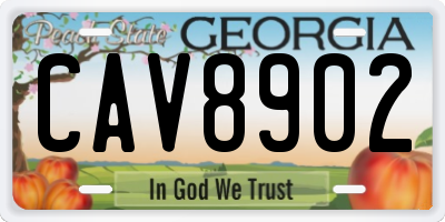 GA license plate CAV8902