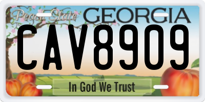 GA license plate CAV8909