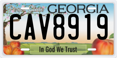 GA license plate CAV8919