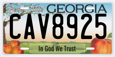 GA license plate CAV8925