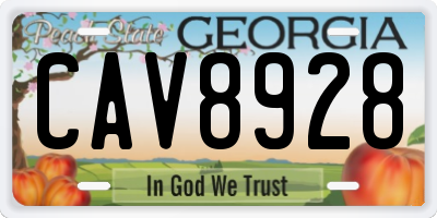 GA license plate CAV8928