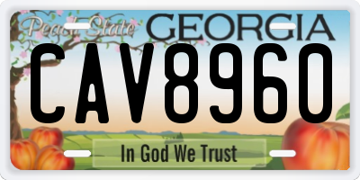 GA license plate CAV8960