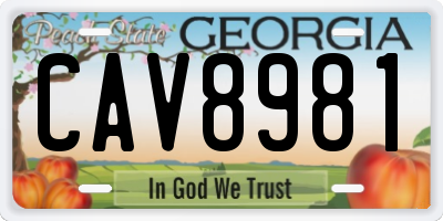 GA license plate CAV8981