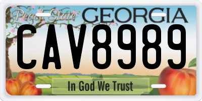 GA license plate CAV8989
