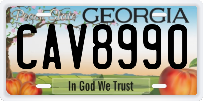 GA license plate CAV8990