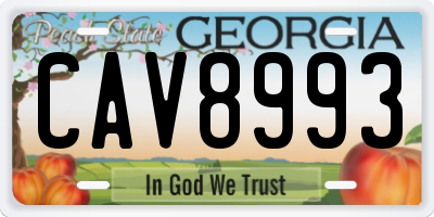 GA license plate CAV8993