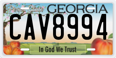 GA license plate CAV8994