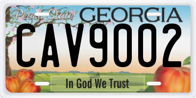 GA license plate CAV9002