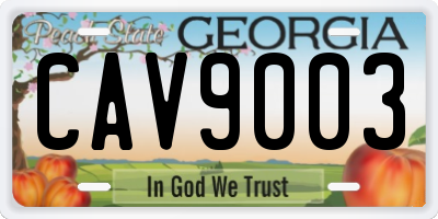 GA license plate CAV9003