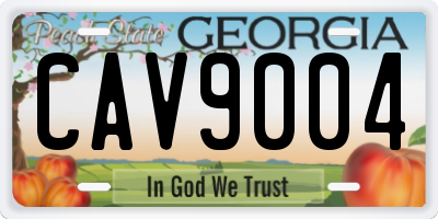 GA license plate CAV9004