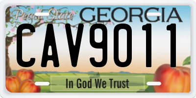 GA license plate CAV9011