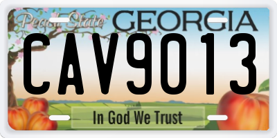 GA license plate CAV9013