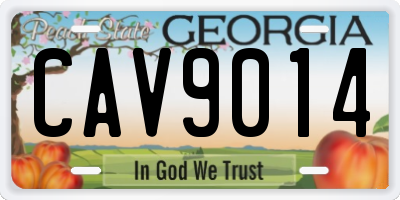 GA license plate CAV9014