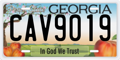 GA license plate CAV9019