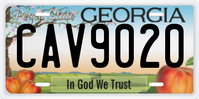 GA license plate CAV9020