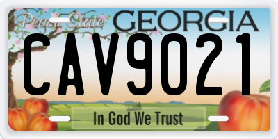GA license plate CAV9021